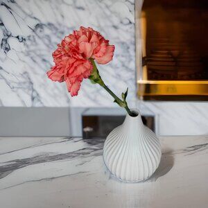 Brand new - Small White Vase Decor 1 PCS, White Ceramic Bud Vase for Modern Home